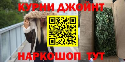 молекула духа Будённовск