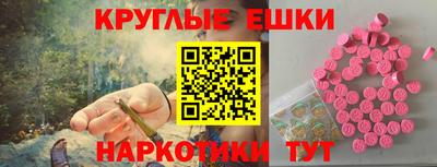 молекула духа Будённовск