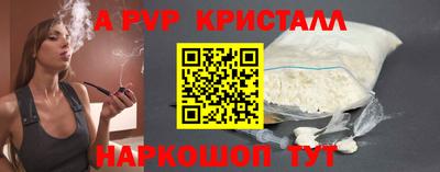 молекула духа Будённовск
