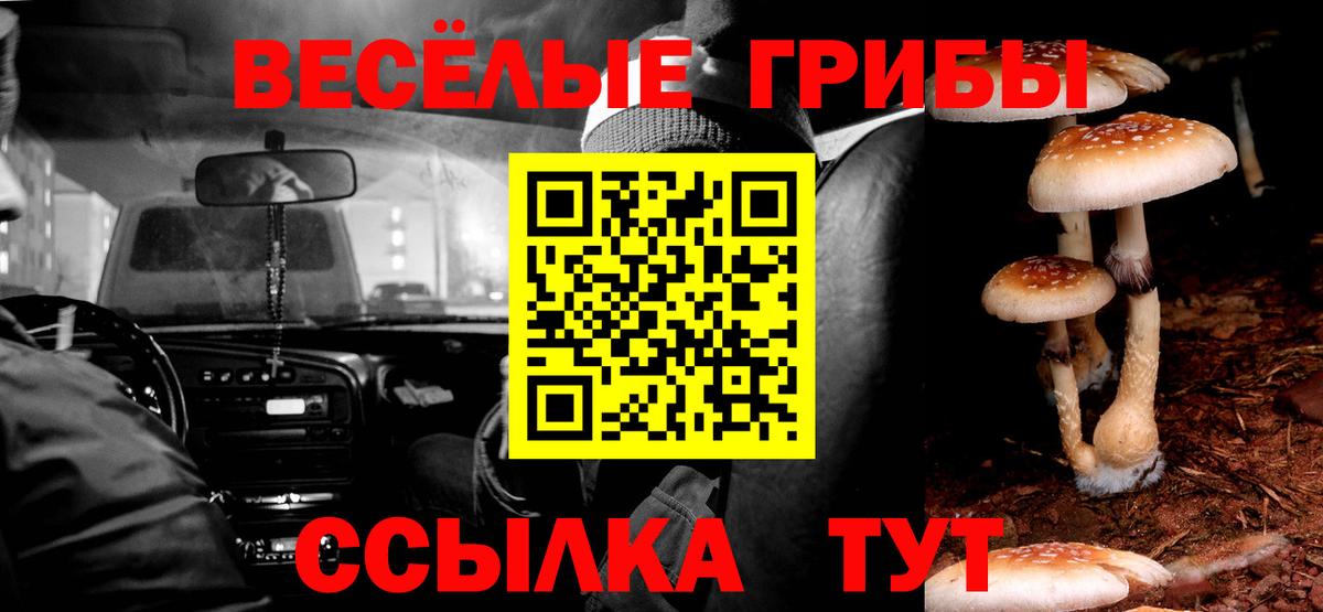 Рыбинск  Псилоцибиновые грибы Psilocybine cubensis  Вход с VPN  Галлюциногенные грибы Psilocybine cubensis 