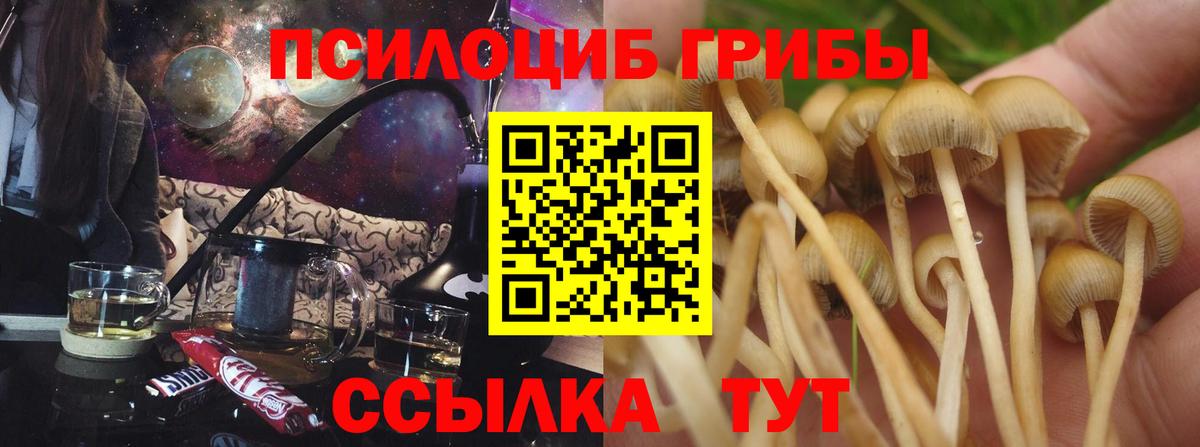 Псилоцибиновые грибы мухоморы Рыбинск